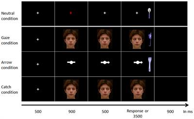 Measuring Gaze and Arrow Cuing Effects With a Short Test Adapted to Brain Damaged Patients With Unilateral Spatial Neglect: A Preliminary Study